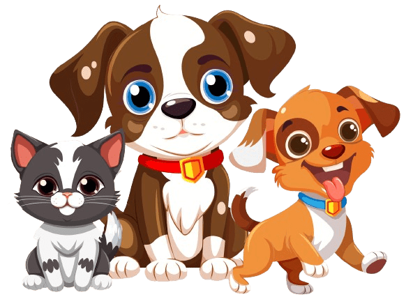 Equipo veterinario Pet Shelter